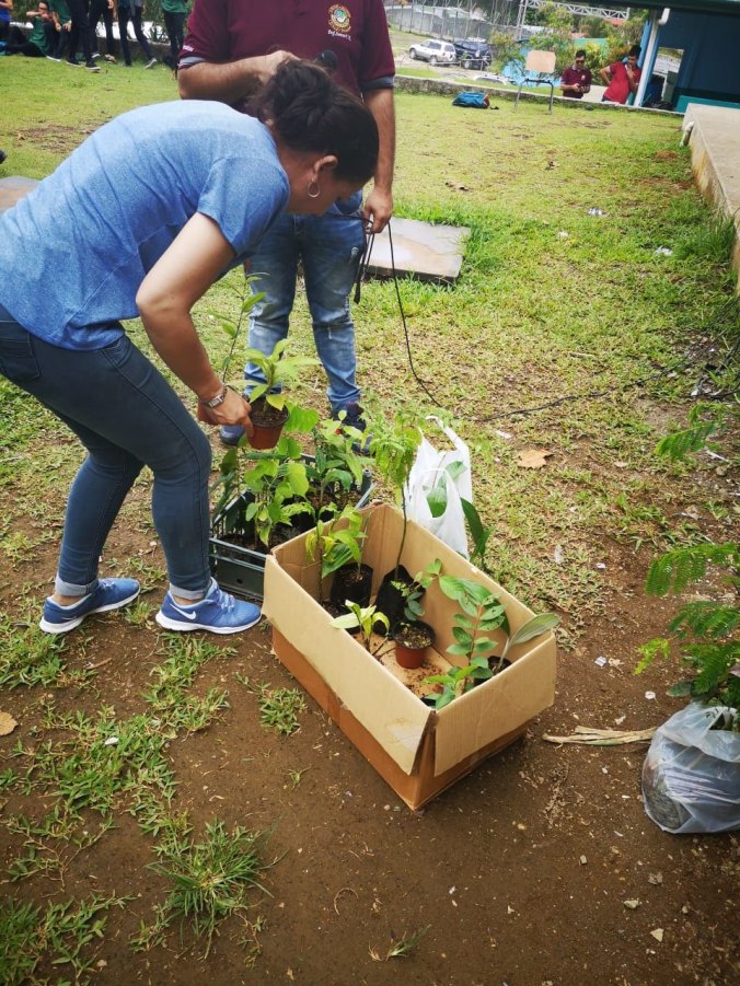 05a8b308-efa5-4cc7-89eb-11ecb2860601