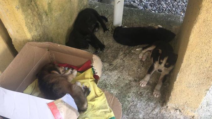 9cb24e9d-8e09-4207-afd0-99ed9e135822